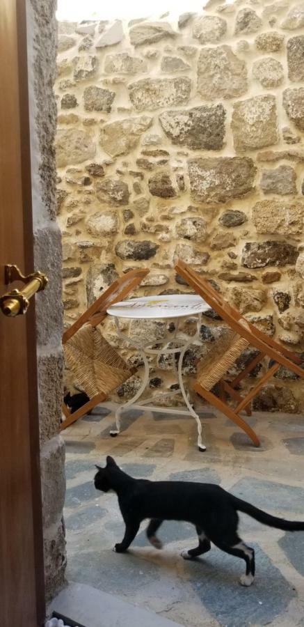 Villa Amaranti House n Art à Mandrákion Extérieur photo